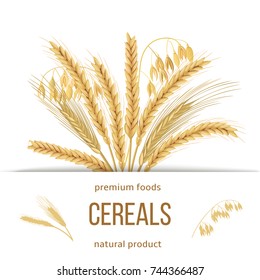 Wheat, barley, oat and rye set. Four cereals grains with ears, sheaf and text premium foods, natural product. 3d icon vector. Horizontal label. For design, cooking, bakery, tags, labels, textile