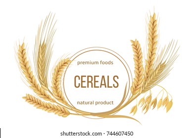 Wheat, barley, oat and rye set. Four cereals spikes with ears, sheaf and text premium foods, natural product. 3d icon vector. Round label. For design, cooking, bakery, tags, labels, textile