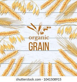 Wheat, barley, oat and rye sheaf on white wooden background. Cereals spikelets with ears, sheaf and text organic grain, natural product. 3d icon vector. For design, cooking, bakery, tag, label textile