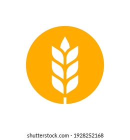 Wheat or barley outline icon. Grain symbol. Vector illustration.