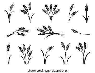 Wheat, barley, rice icon. Hand drawn sketch style oat with grain. Wheat isolated vector illustration.