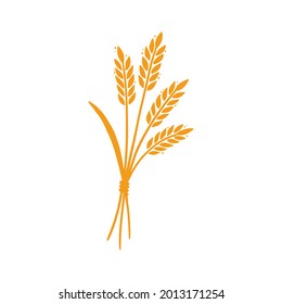 Wheat, barley, rice icon. Hand drawn sketch style oat with grain. Wheat isolated vector illustration. Golden color barley.