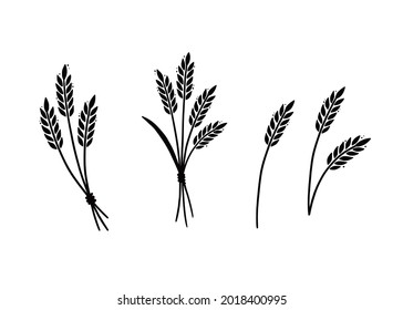 Wheat, barley, rice icon. Hand drawn sketch style oat with grain. Wheat isolated vector illustration.