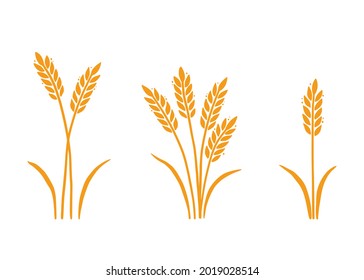 Wheat, barley, rice icon. Hand drawn sketch style oat with grain. Wheat isolated vector illustration. Golden color barley.