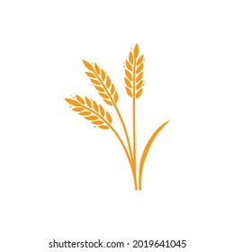 Wheat, barley, rice icon. Hand drawn sketch style oat with grain. Wheat isolated vector illustration. Golden color barley.