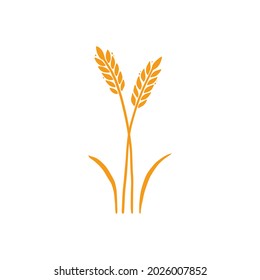 Wheat, barley, rice icon. Hand drawn sketch style oat with grain. Wheat isolated vector illustration. Golden color barley.