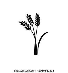 Wheat, barley, rice icon. Hand drawn sketch style oat with grain. Wheat isolated vector illustration.