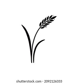 Wheat, barley, rice icon. Hand drawn sketch style oat with grain. Wheat isolated vector illustration.