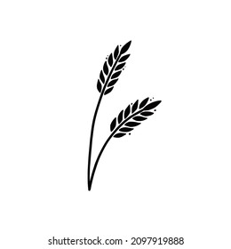 Wheat, barley, rice icon. Hand drawn sketch style oat with grain. Wheat isolated vector illustration.