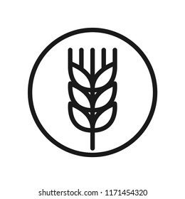 Wheat barley rice logo. Simple design. Isolate on white background. Line vector.