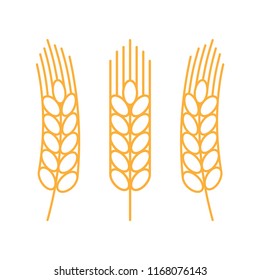 Wheat barley rice stalk. Simple design. Isolate on white background.