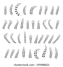 Wheat, barley, rye, oat ear icon set, graphic design elements, black isolated on white background, vector illustration.