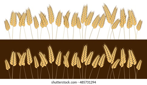 Wheat barley rye oat field. Vector bread cereal grain. Isolated illustration. Graphic frame