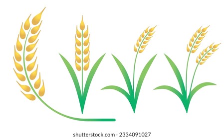 Wheat, barley simple illustration, set of icons.