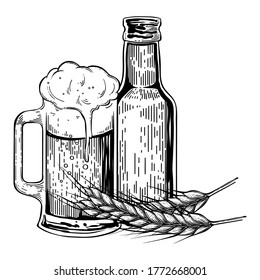 Wheat beer in bottle and glass mug with wheat spikelet, hand drawn vector, engraving style