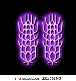 wheat beer drink neon light sign vector. wheat beer drink illustration