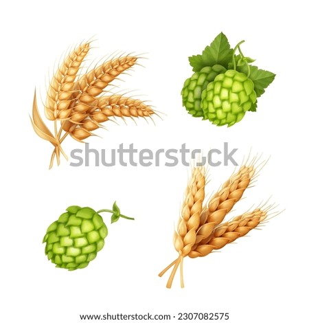 Wheat and beer hops, realistic wheat ears, hop cones vector 3d