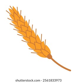 Wheat and beer malt, cartoon ear of wheat hand drawn in flat style. Vector illustration for brewery logo