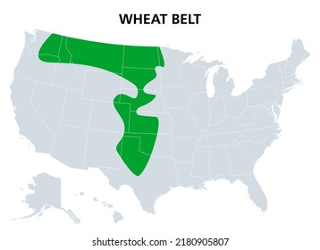 Wheat Belt Of The United States, Political Map. Part Of The North American Great Plains Where Wheat Is The Dominant Crop. Extending From Central Alberta, Canada, To Central Texas. Illustration. Vector