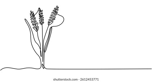 Wheat Berry Continuous Line Art Illustration, One continuous line. Spikelet of wheat. Spikelet of a cereal plant. Flat minimal icon. One continuous line on a white background, Ears of wheat one line.