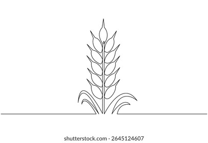 Wheat Berry Continuous Line Art Illustration, One continuous line. Spikelet of wheat. Spikelet of a cereal plant, Ears of wheat one continuous line drawing .Fall harvest line art. 