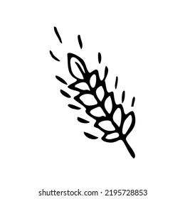 Wheat black icon on white background hand drawing doodle style