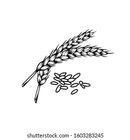 Wheat black and white vector for all purpose