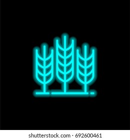 Wheat blue glowing neon ui ux icon. Glowing sign logo vector