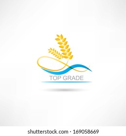 wheat and blue line icon