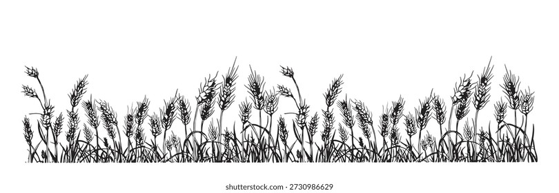 Ilustración vectorial del paisaje de la aldea de la frontera del trigo