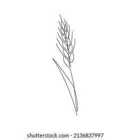 Wheat branch drawn in one line. Agriculture sketch. Continuous line drawing ripe ears. Minimalist art. Simple vector illustration.