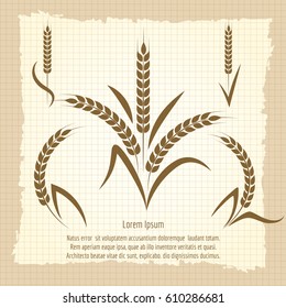Wheat branches design vector illustration. Harvest vintage poster