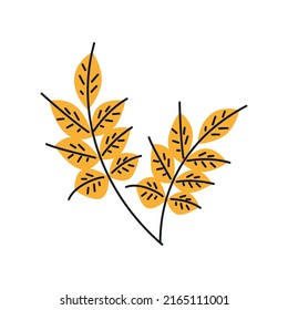wheat branches icon isolated flat