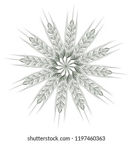 Wheat bread ears cereal crop sketch line art style. Geometrical circle vector illustration.
