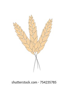 
Wheat bread ears cereal crop sketch hand drawn vector illustration. 