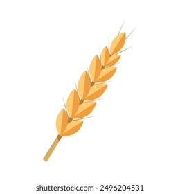 Wheat Bunch of wheat ears clip art Dried whole grains illustration Cereal harvest.