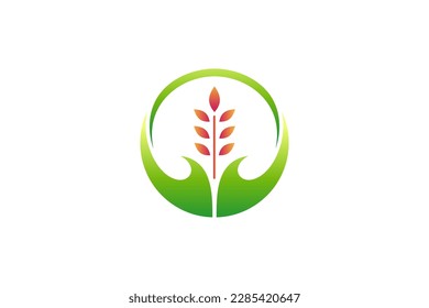 wheat care logo design template
