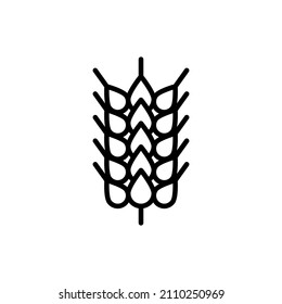 Wheat, cereal, barley thin line icon. Intolerance to gluten symbol. Organic bread. Vector illustration.