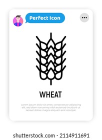 Wheat, cereal, barley thin line icon. Intolerance to gluten symbol. Organic bread. Vector illustration.