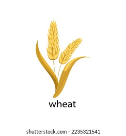 Wheat cereal crop cartoon illustration. Wheat with leaves isolated on white background. Plant, flowers concept
