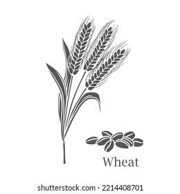 Wheat cereal crop glyph icon vector illustration. Cut black silhouette bunch of ripe ears with spikes, whole grains, seeds pile and leaves on stalk to produce flour for baking bread and Wheat text