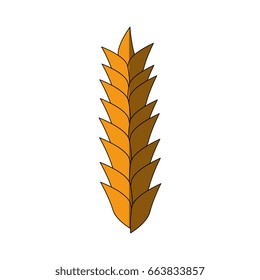Wheat cereal food