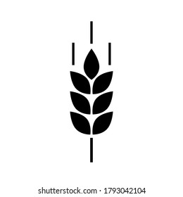 Wheat cereal icon. Fiber oat. Logo bakery. Spike wheat. Bread grain isolated on background. Seed flour barley, corn, rye, malt, bran, millet, maize, rice. Silhouette stalk ear of wheat. Sign crop