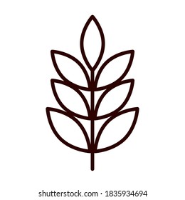 wheat cereal nature branch vector illustration line icon style