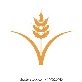 Wheat. Cereal plant. Vector illustration