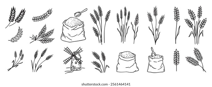 wheat and cereal plants, rye barley and ears of wheat in bag doodle hand drawn icon set. Outline drawing ears of wheat line clipart symbol collection. Vector illustration