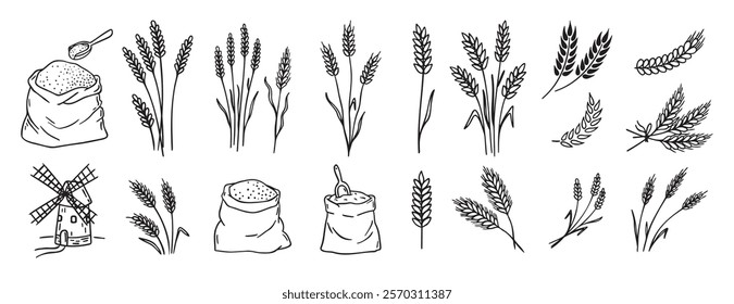 wheat and cereal plants, rye barley and ears of wheat in bag doodle hand drawn icon set. Outline drawing ears of wheat line clipart symbol collection. Vector illustration