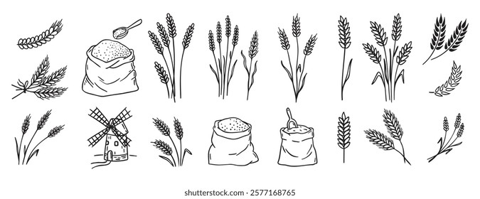 wheat and cereal plants, rye barley and ears of wheat in bag doodle hand drawn icon set. Outline drawing ears of wheat line clipart symbol collection. Vector illustration