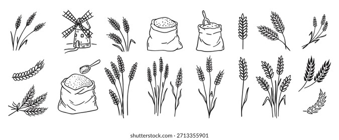 Plantas de trigo y cereales, cebada de centeno y espigas de trigo en bolsa doodle dibujado a mano conjunto de iconos. Esquema de espigas de dibujo de colección de Clipart de línea de trigo. Ilustración vectorial