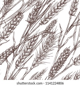 Wheat cereal spikelets, vector seamless pattern. Sketch hand drawn illustration. Bakery and flour package background.